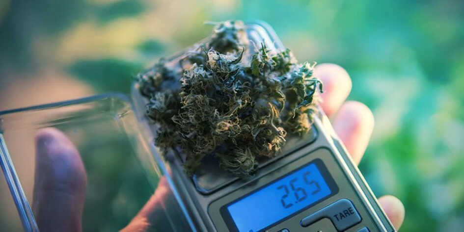 Kapesní váhy na sušinu | Upinsmoke.cz